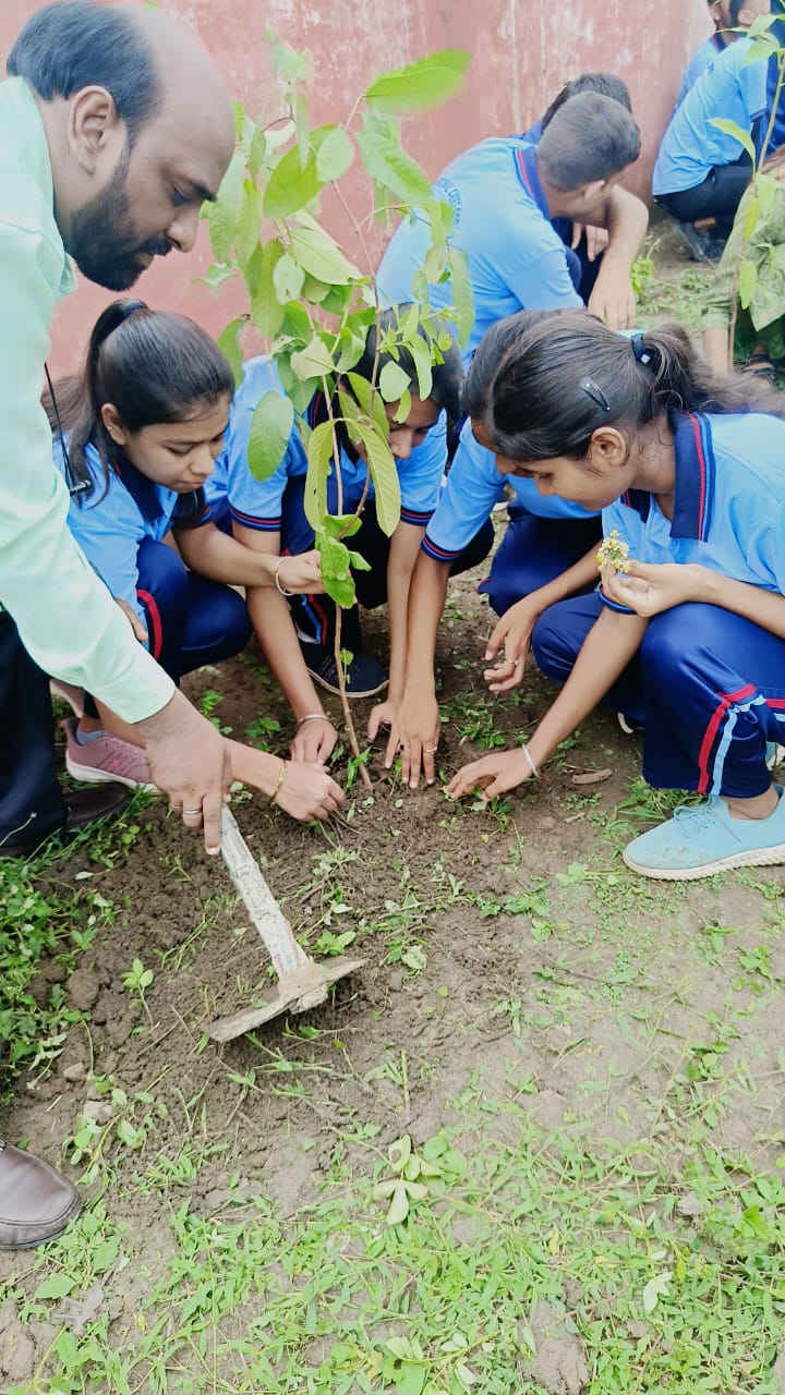 Plantation