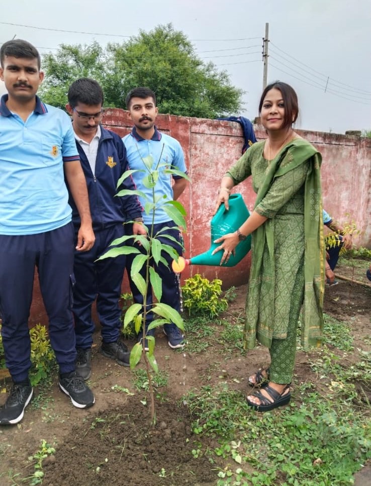 Plantation